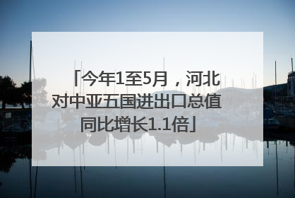 今年1至5月，河北对中亚五国进出口总值同比增长1.1倍